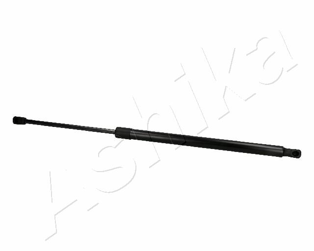ZSA02048