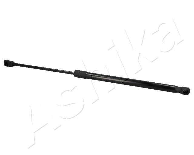 ZSA01093