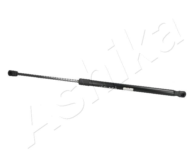 ZSA09070