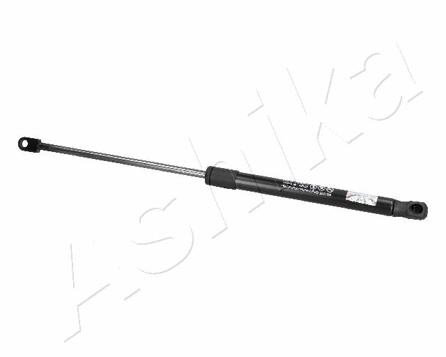ZSA06091