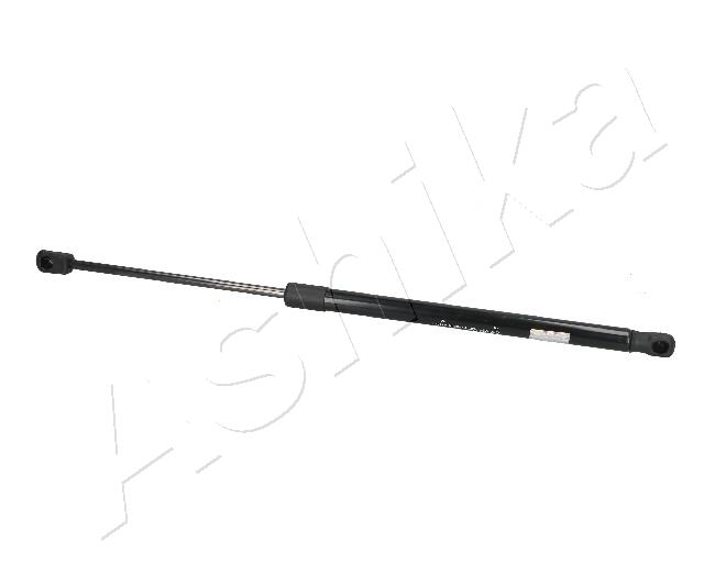 ZSA09073