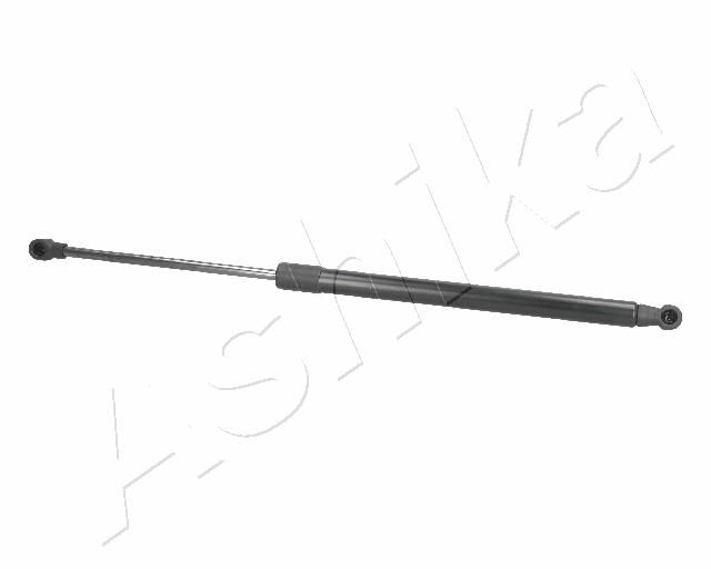 ZSA01059