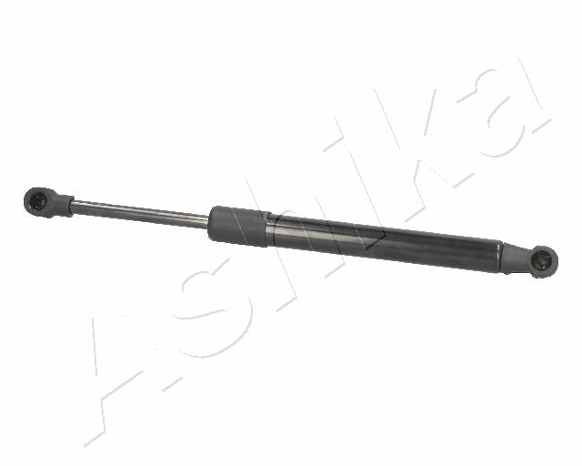 ZSA02026