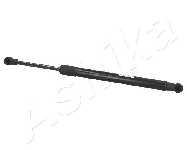 ZSA01005