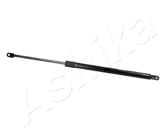 ZSA09224