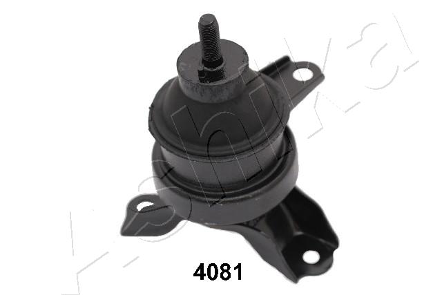 GOM-4081