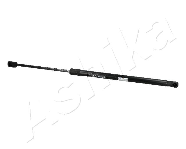 ZSA10008