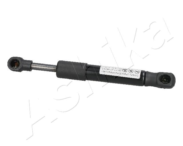 ZSA09111