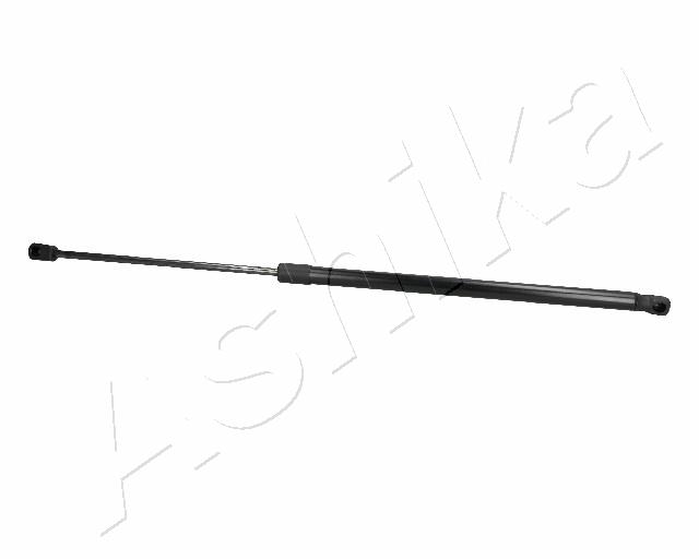 ZSA06065