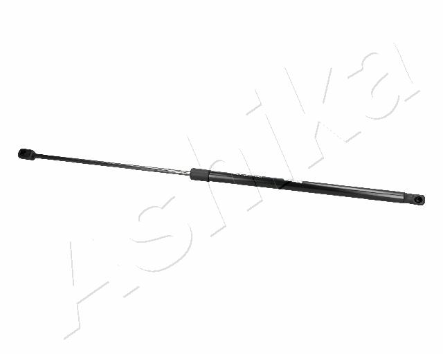 ZSA06079