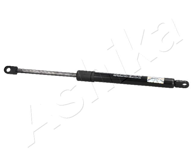ZSA02092