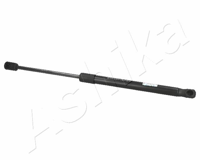 ZSA01031