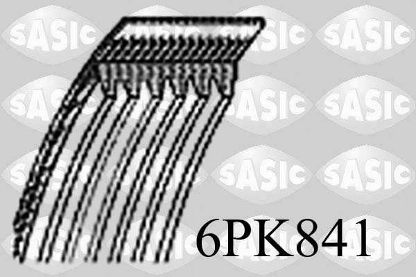 6PK841