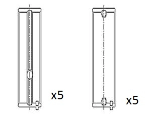BM1031-STD