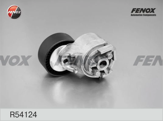 R54124