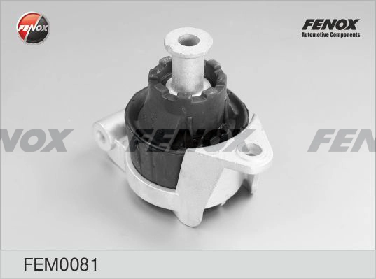FEM0081