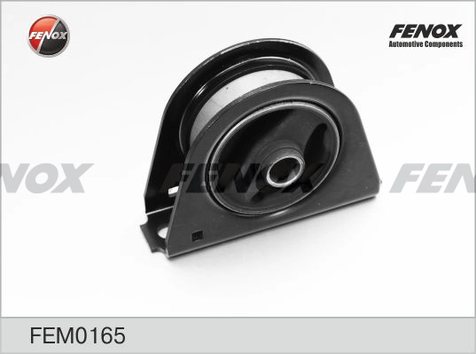 FEM0165