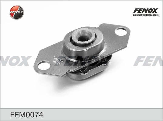 FEM0074