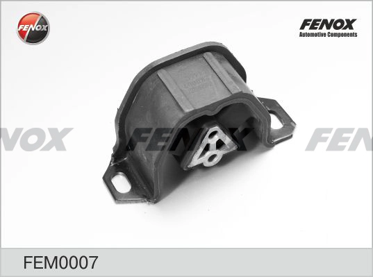 FEM0007