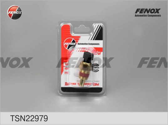 TSN22979