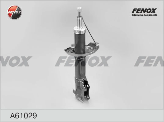 A61029