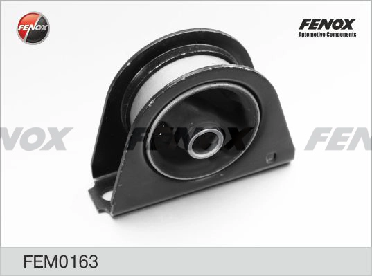 FEM0163