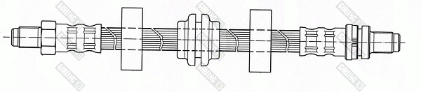 9003284