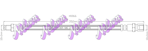 H1066