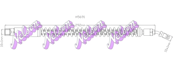 H5691