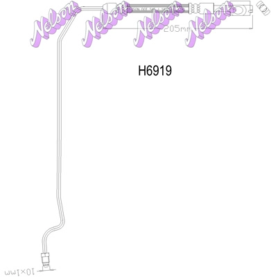 H6919