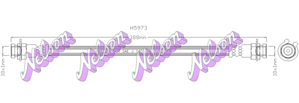 H5973