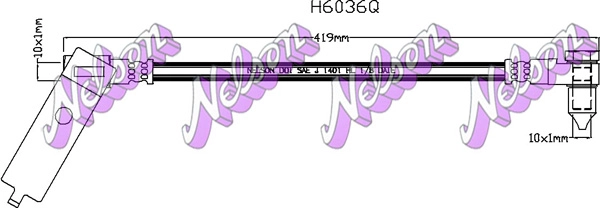 H6036