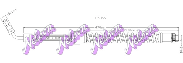 H5855
