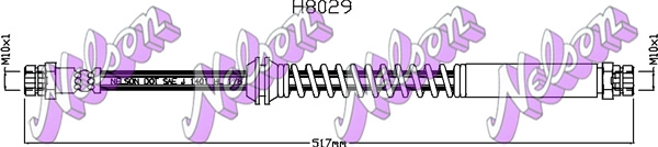 H8029
