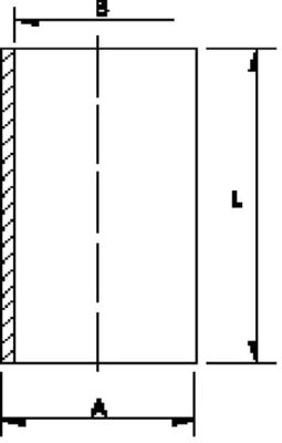 C21100
