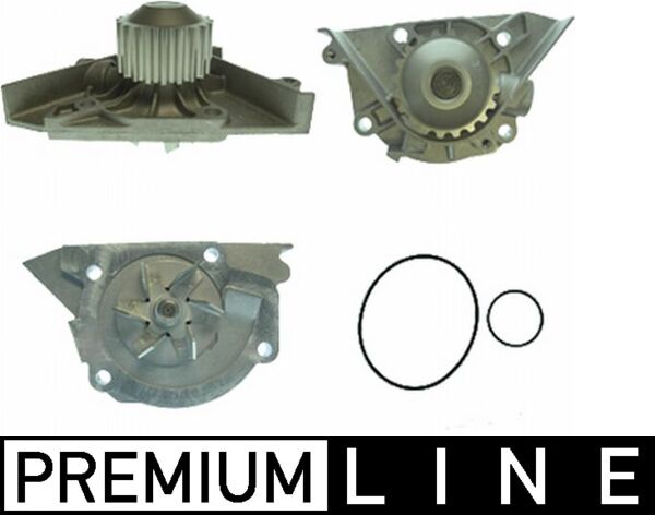CP 442 000P