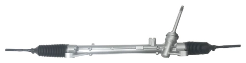 490013876R
