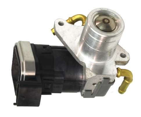 EGR015