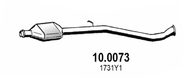 10.0073