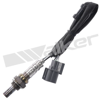 250-24784