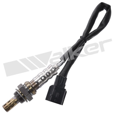 250-241219
