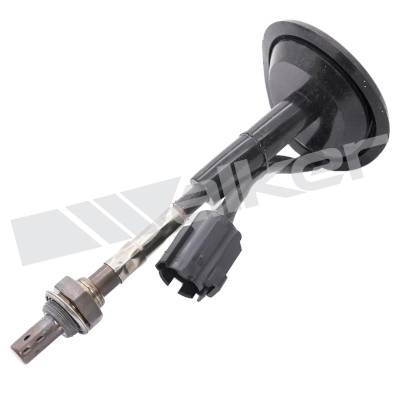 250-24081