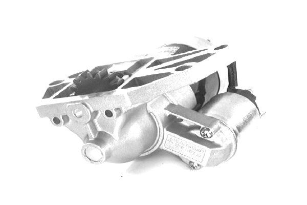 M1T96081