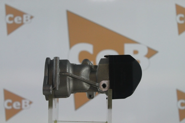 GR6064