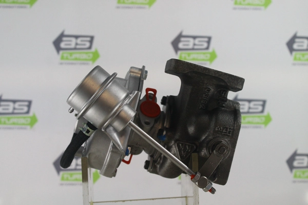 AS4651