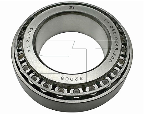 24903810