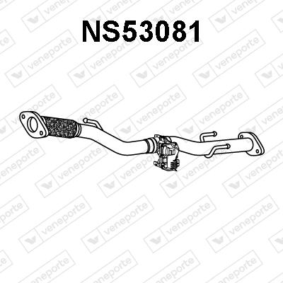 NS53081