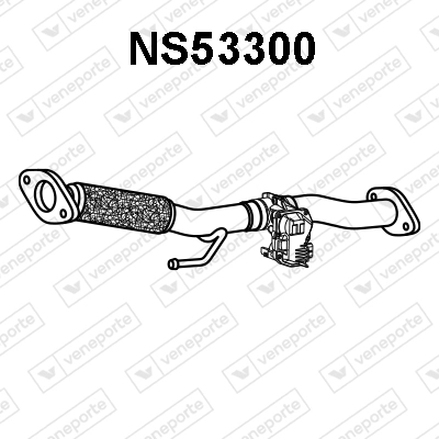 NS53300