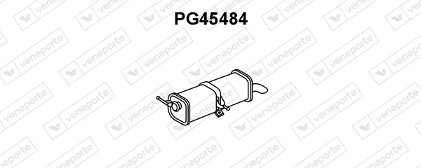 PG45484