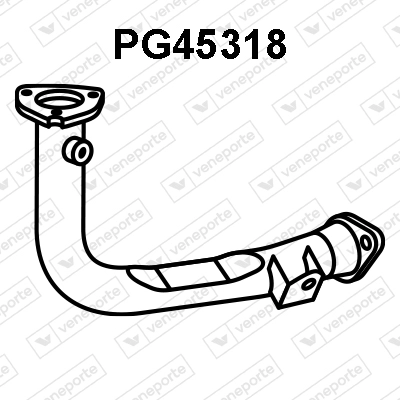 PG45318